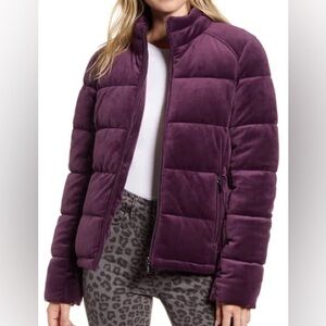 MARC NEW YORK Velvet Puffer Jacket - Plum